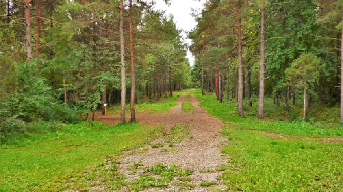 Musumänniku Disc Golf
