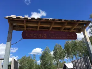 Moa's Garden