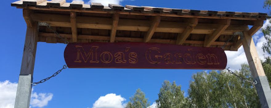 Moa's Garden