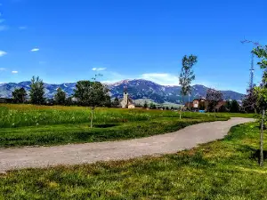 Dinosaur Park