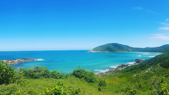 Trail To The Praia Do Rosa