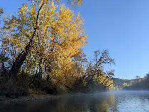 Miesville Ravine Park Reserve