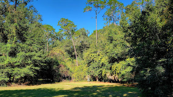 Sawmill Disc Golf Course