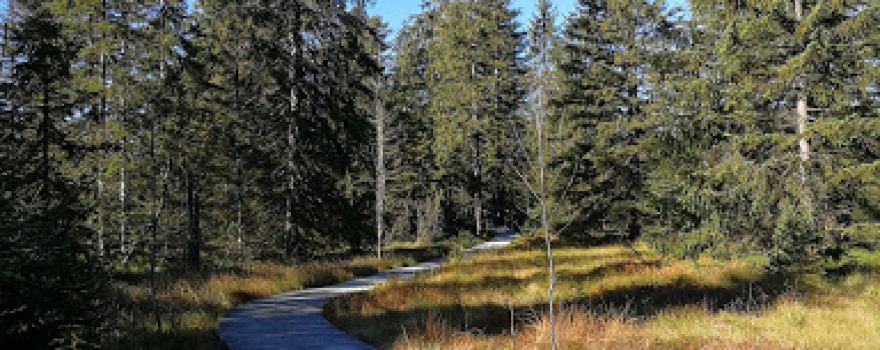 Wegegabelung Hoffnungsweg