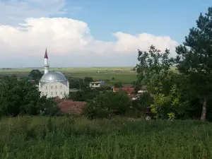 Cenekoy Koyu Muhtarligi