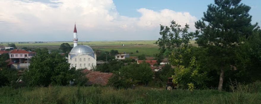 Cenekoy Koyu Muhtarligi
