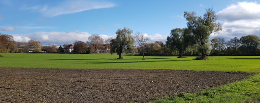 Wollmatinger Ried - Untersee - Gnadensee