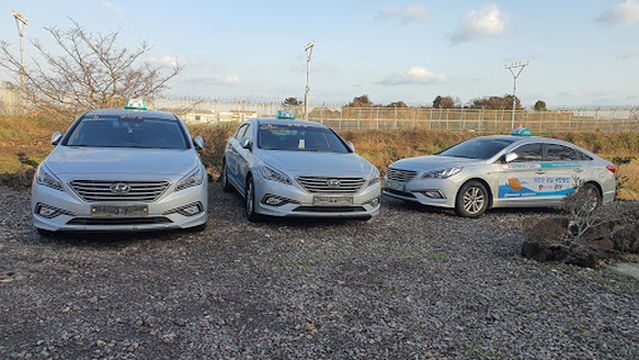 Jeju Namyang Travel (jeju taxi tour)