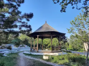 Faleza Superioara