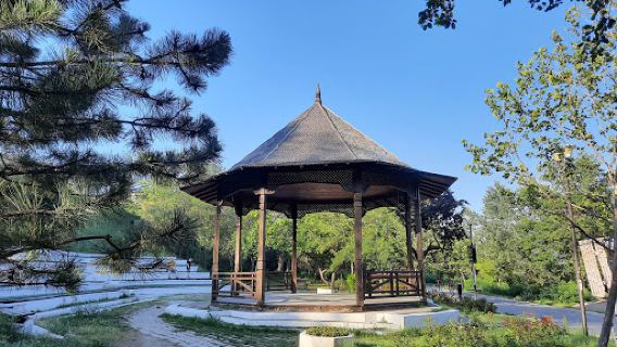 Faleza Superioara