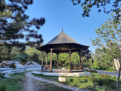 Faleza Superioara