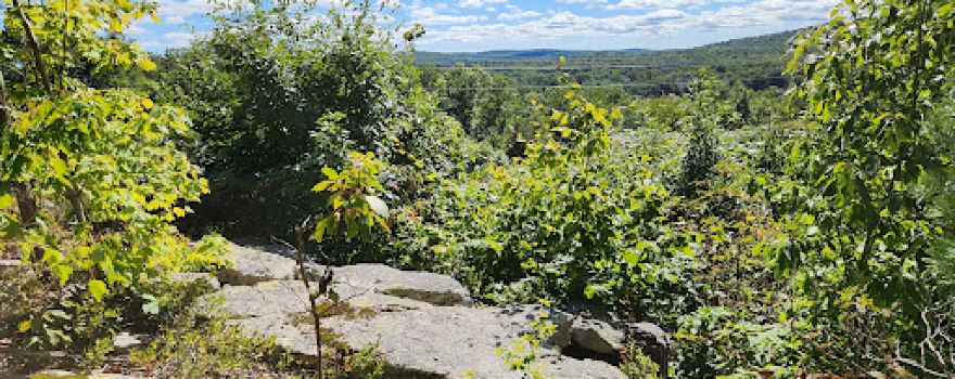 Seven Falls Park