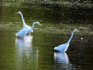Big Sioux Recreation Area