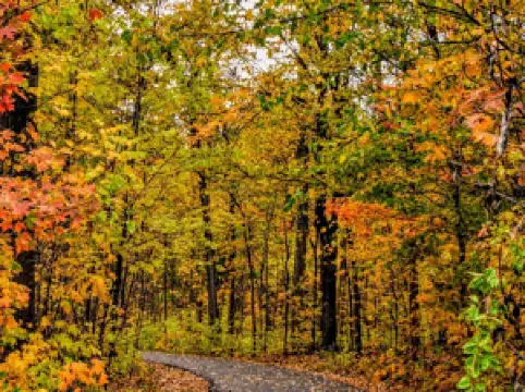 Bluffton Village Park Shelter House