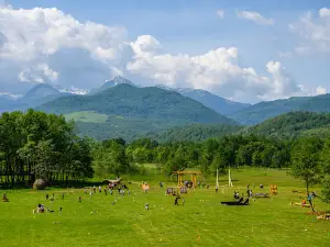 Dinosaur World Transylvania