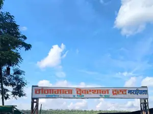 Patna Devi Temple