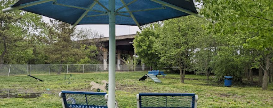 Elsmere Dog Park