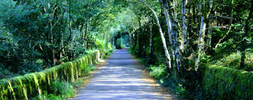 Longdendale Environmental Centre