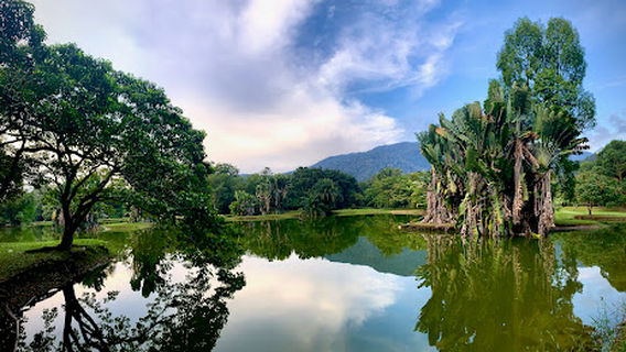 The New Club, Taiping