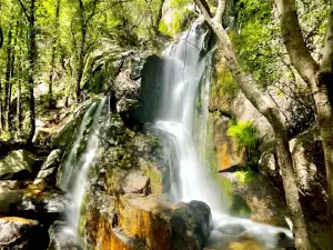Garganta de Las Nogaleas