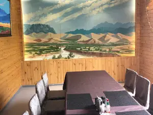Khanbogd ger camp