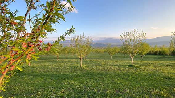 Kvakhvreli