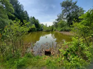 Paradise Springs Nature Trail