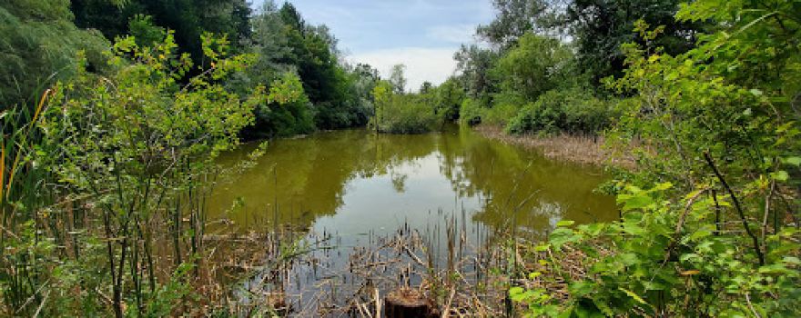 Paradise Springs Nature Trail