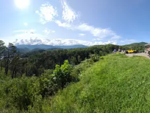 The Redneck Comedy Bus Tour