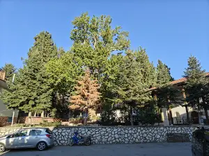 Yazır Hacı Ömerağa cami