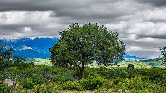 Quebrada de Villa Elena