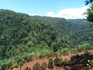 Pesona Leuweung Oko (Oko D'great)