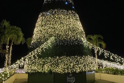 Japanese Restaurant Kanucha