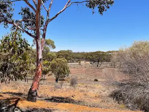 Wimmera Hill Lookout