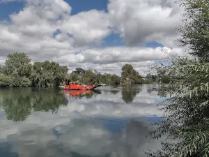 Toltén River