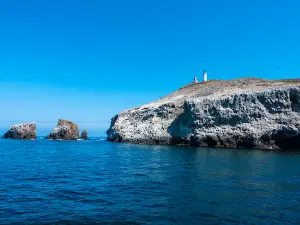 Island Packers Cruises
