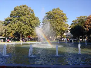 Celal Doğan Parkı