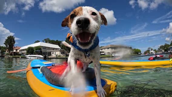 Hunter Springs Kayaks