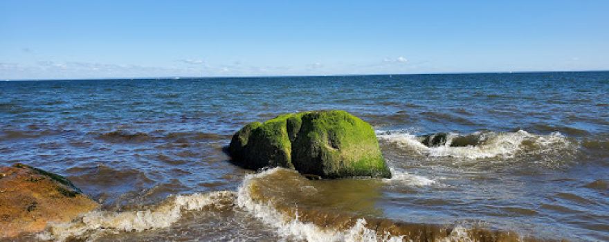 Suffolk County Park Land