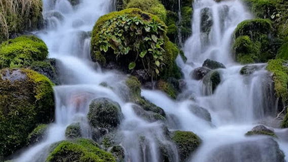 Waitonga Falls Walk Trailhead