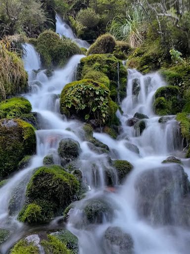 Waitonga Falls Walk Trailhead