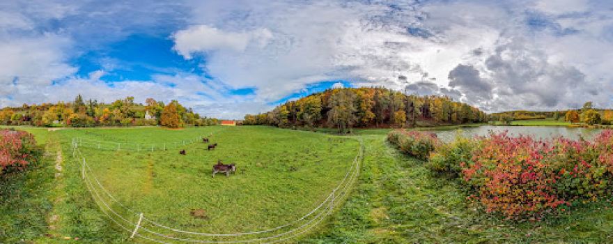 Waldlehrpfad "Rund um die Hölle"