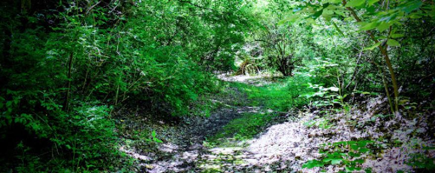 Fredericktown Recreation District