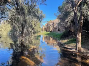 Irwin River Lookout