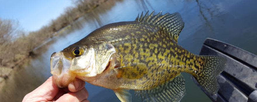 Mautino State Fish and Wildlife Area