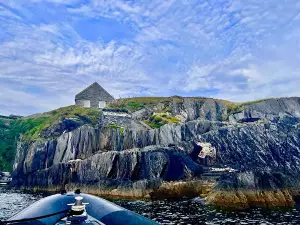 Dursey Boat Trips
