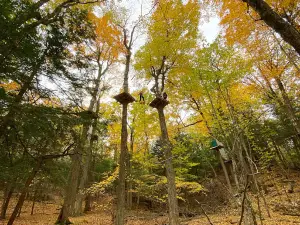 WildPlay Thacher