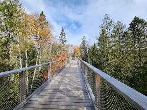 Sentier des cimes Laurentides
