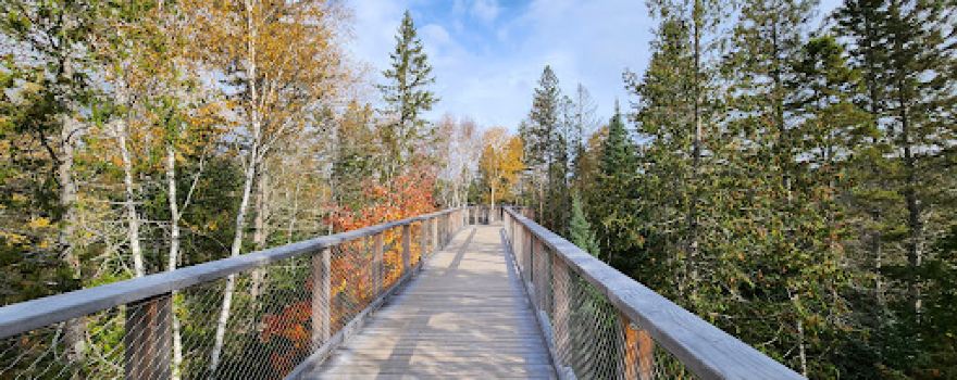 Sentier des cimes Laurentides
