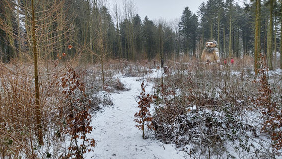 Trolden Ask fra Ashøj